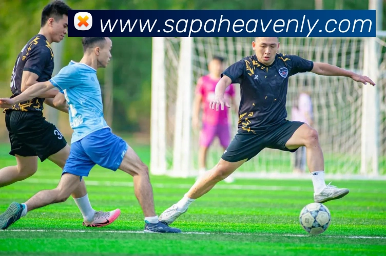 亚博官方APP 体育赛事宣传图
